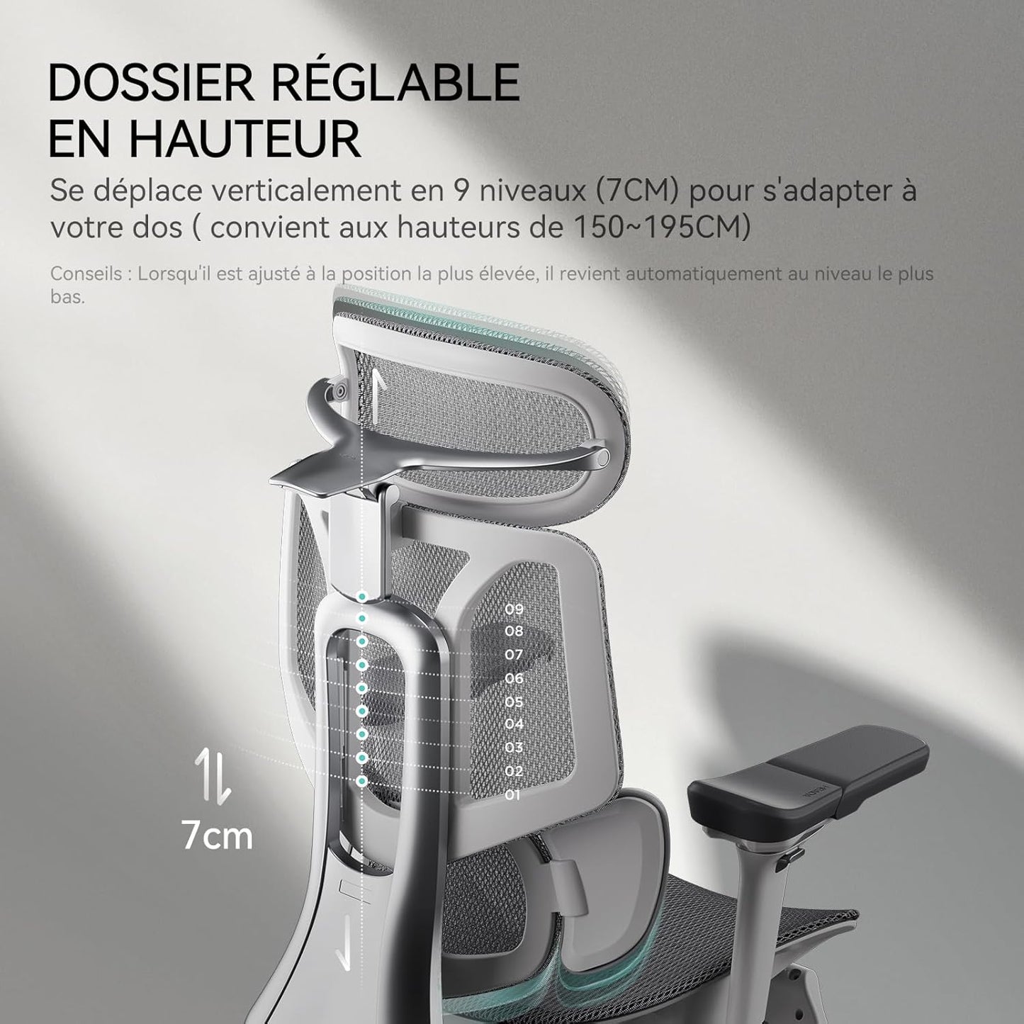 HomeLova | 3-in-1 office chair