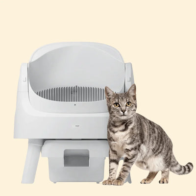 PetPivot | Automatic Cleaning Litter Box